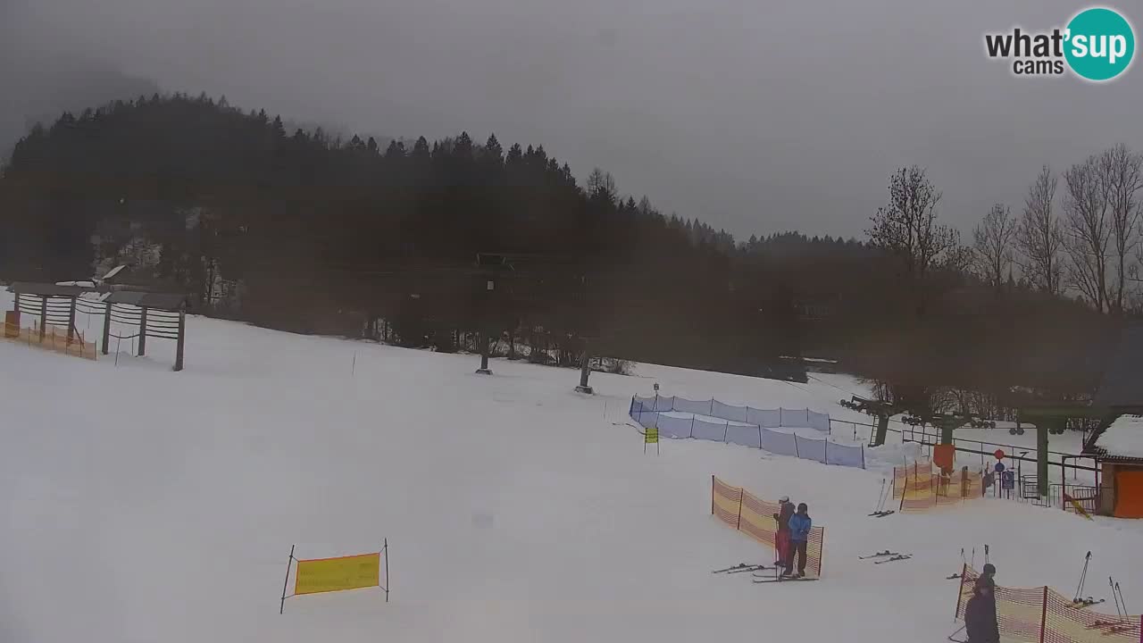 Ski Kranjska Gora | Velika Dolina