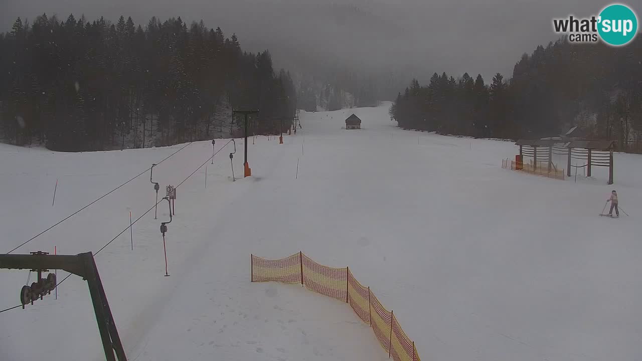 Skigebiet Kranjska Gora | Velika Dolina