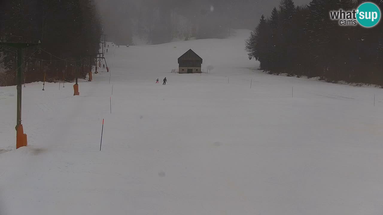 Station de ski Kranjska Gora | Velika Dolina