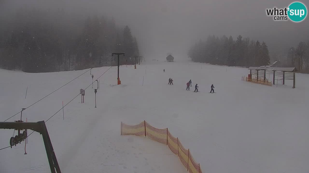 RTC Kranjska Gora | Velika Dolina