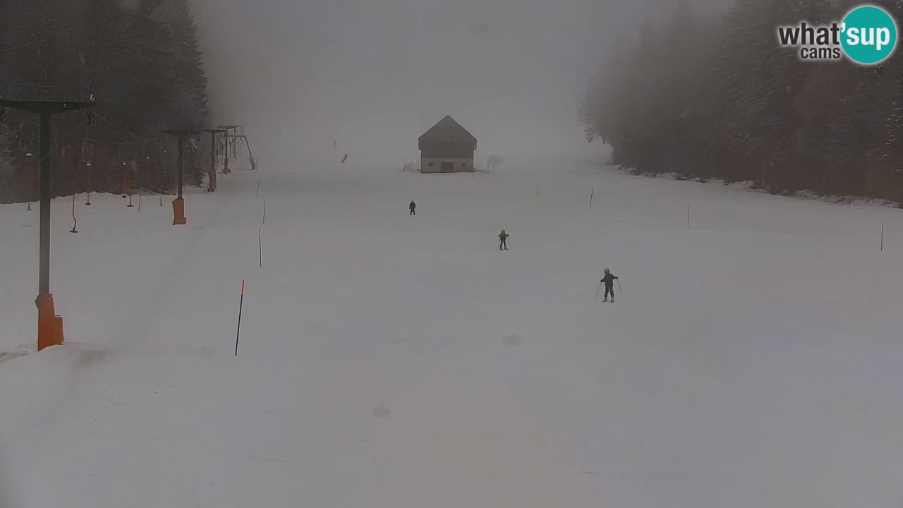 RTC Kranjska Gora | Velika Dolina