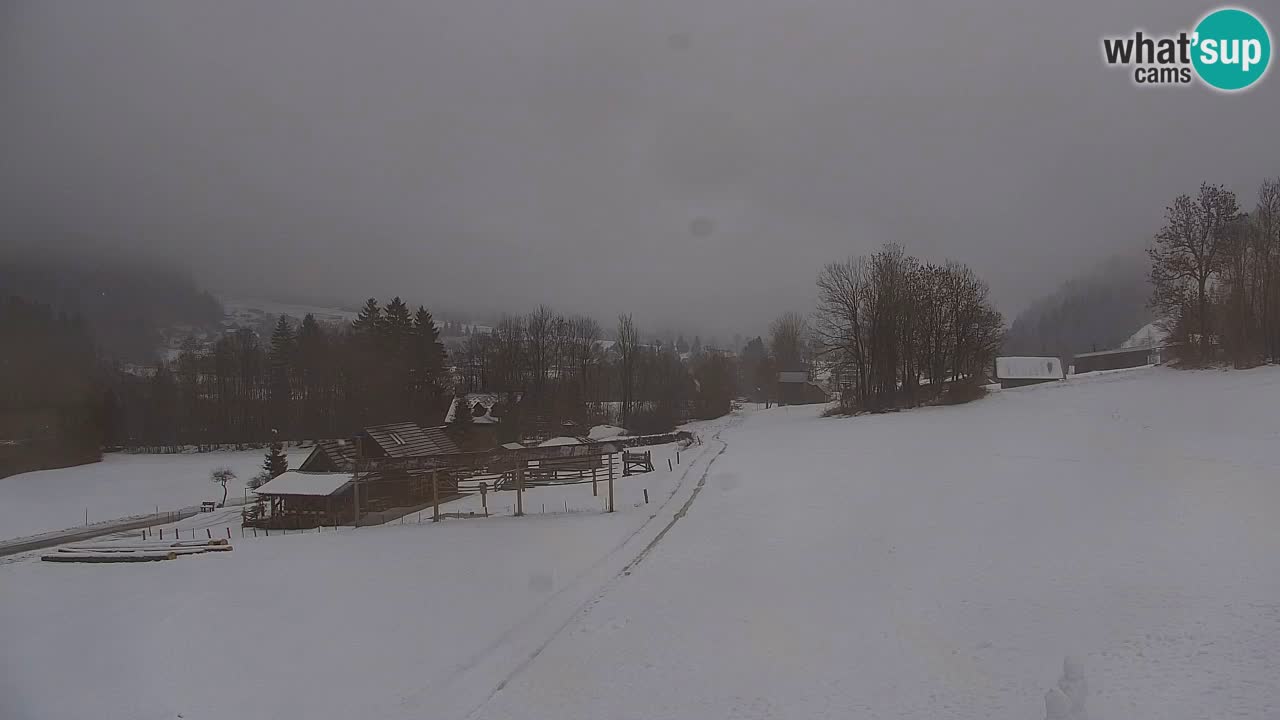 Ski Kranjska Gora | Velika Dolina
