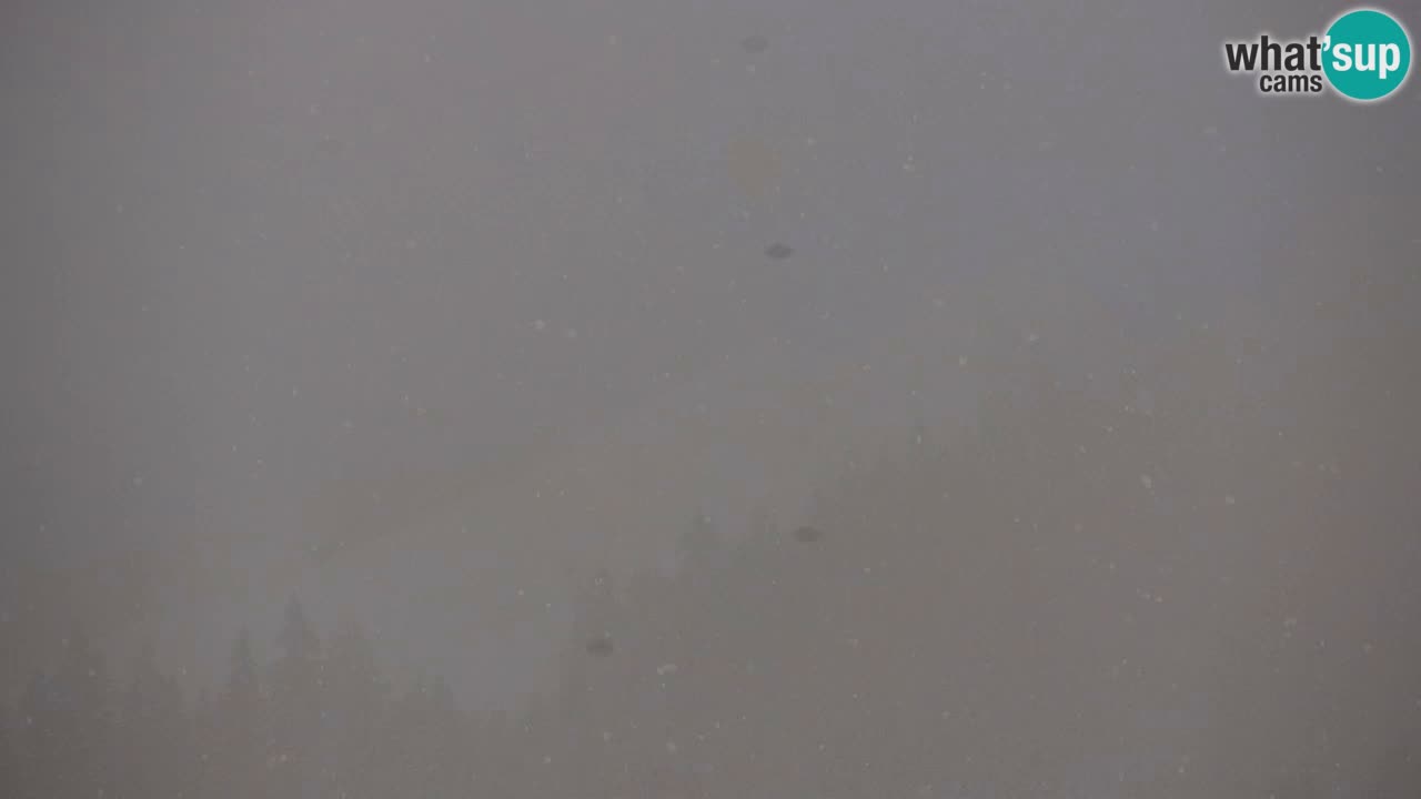 Ski Kranjska Gora | Velika Dolina