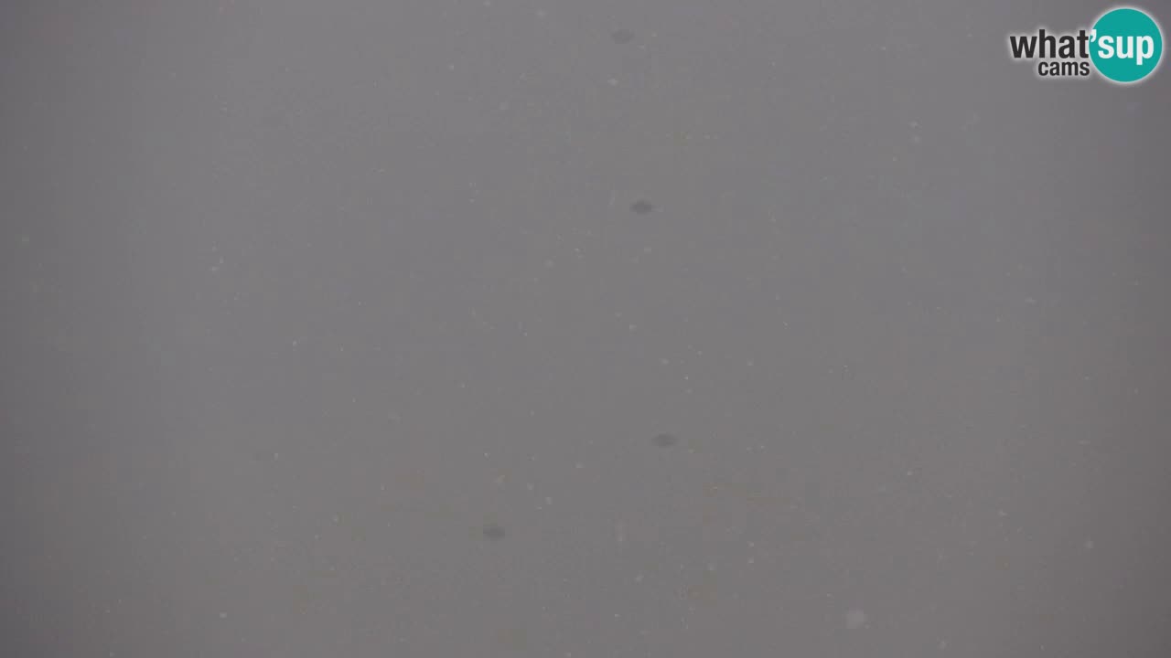 Skigebiet Kranjska Gora | Velika Dolina