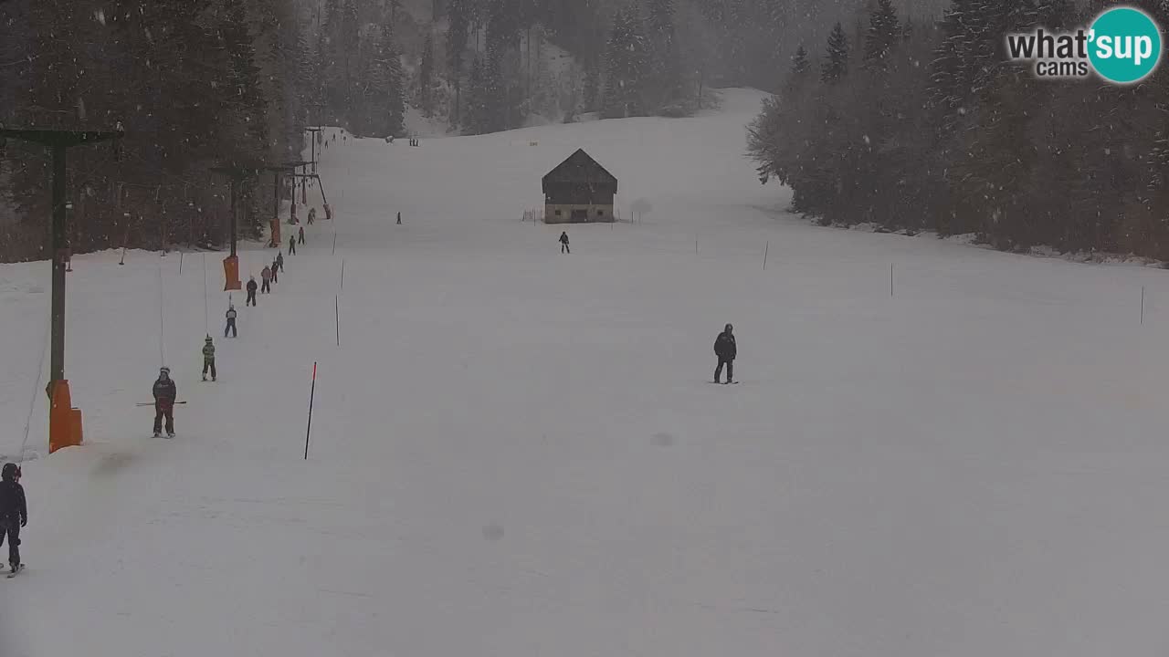 Station de ski Kranjska Gora | Velika Dolina