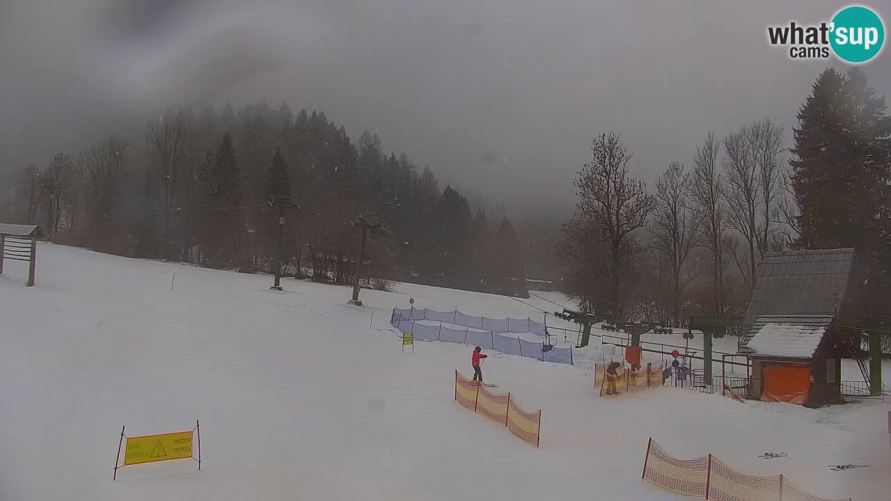 Ski Kranjska Gora | Velika Dolina