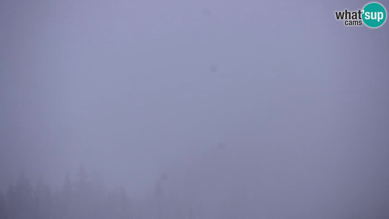 Ski Kranjska Gora | Velika Dolina