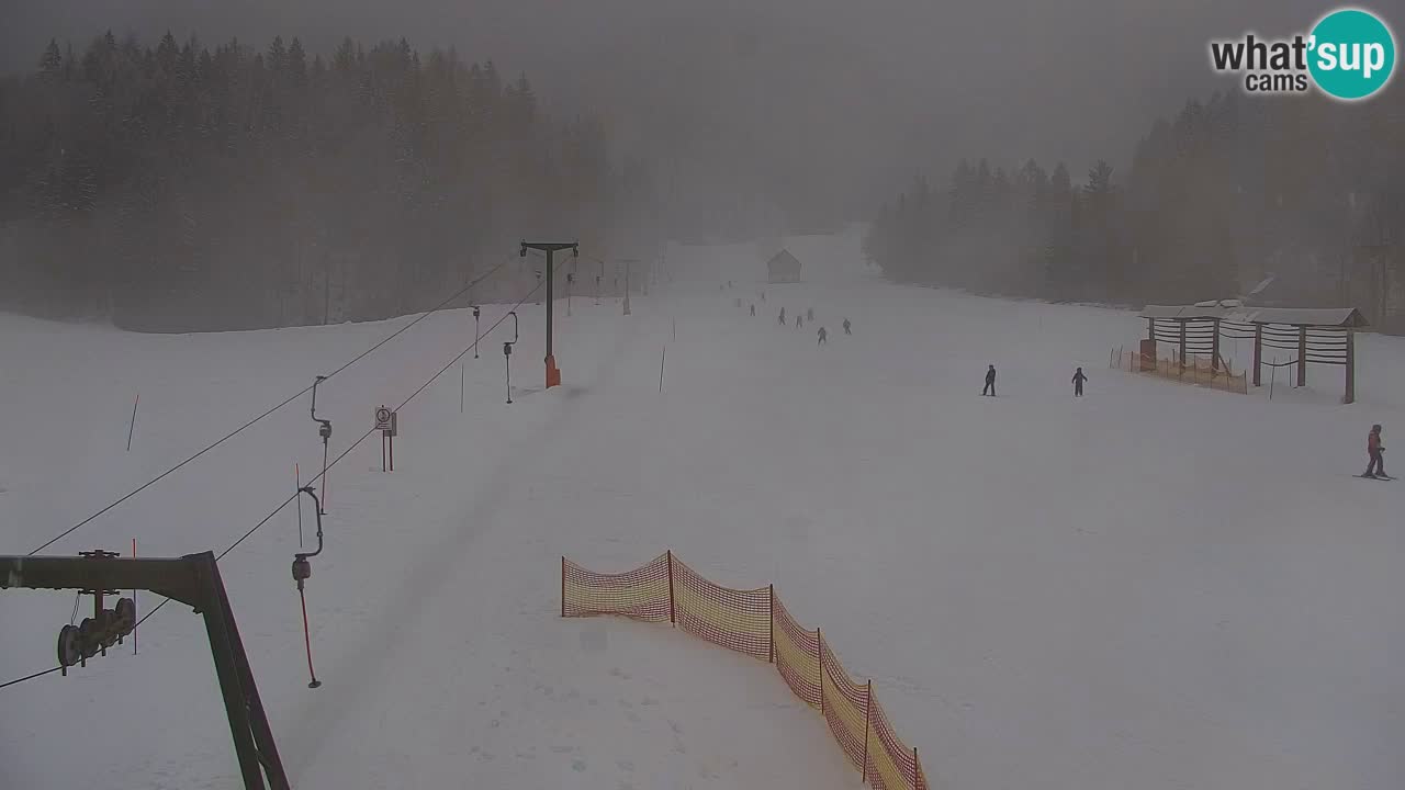 Ski Kranjska Gora | Velika Dolina