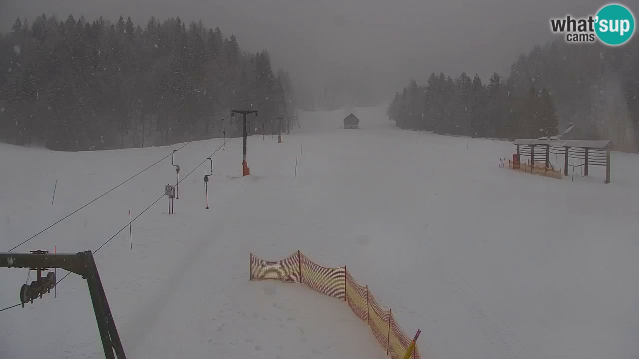 Ski Kranjska Gora | Velika Dolina