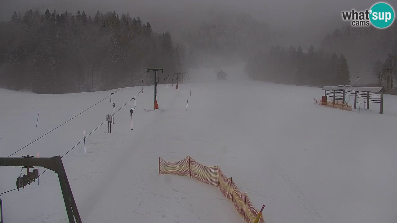 Skigebiet Kranjska Gora | Velika Dolina