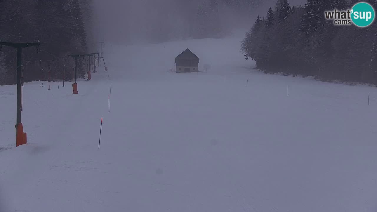 Kranjska Gora | Velika Dolina