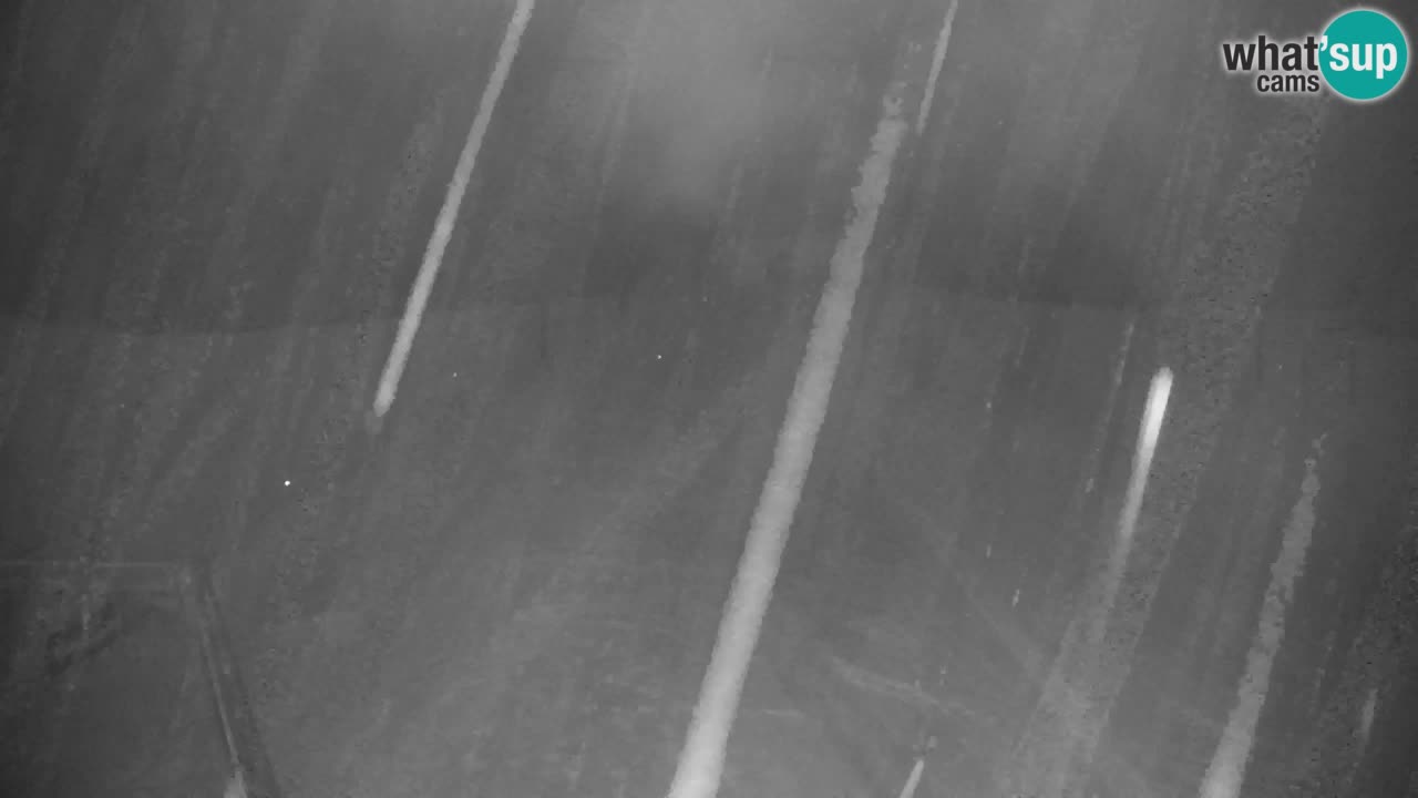 Ski Kranjska Gora | Velika Dolina