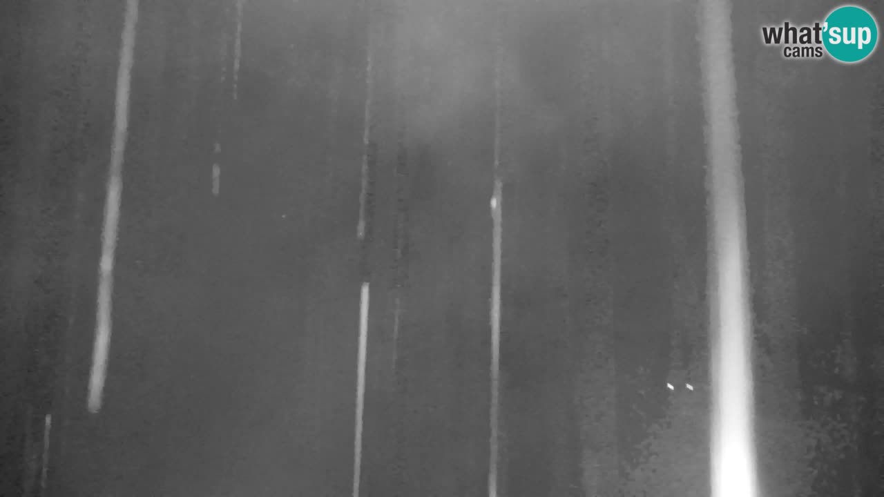 Ski Kranjska Gora | Velika Dolina