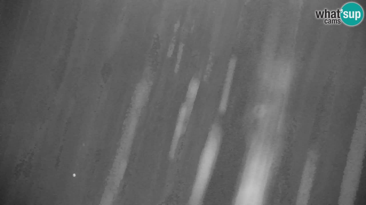 Estación de esquí Kranjska Gora | Velika Dolina