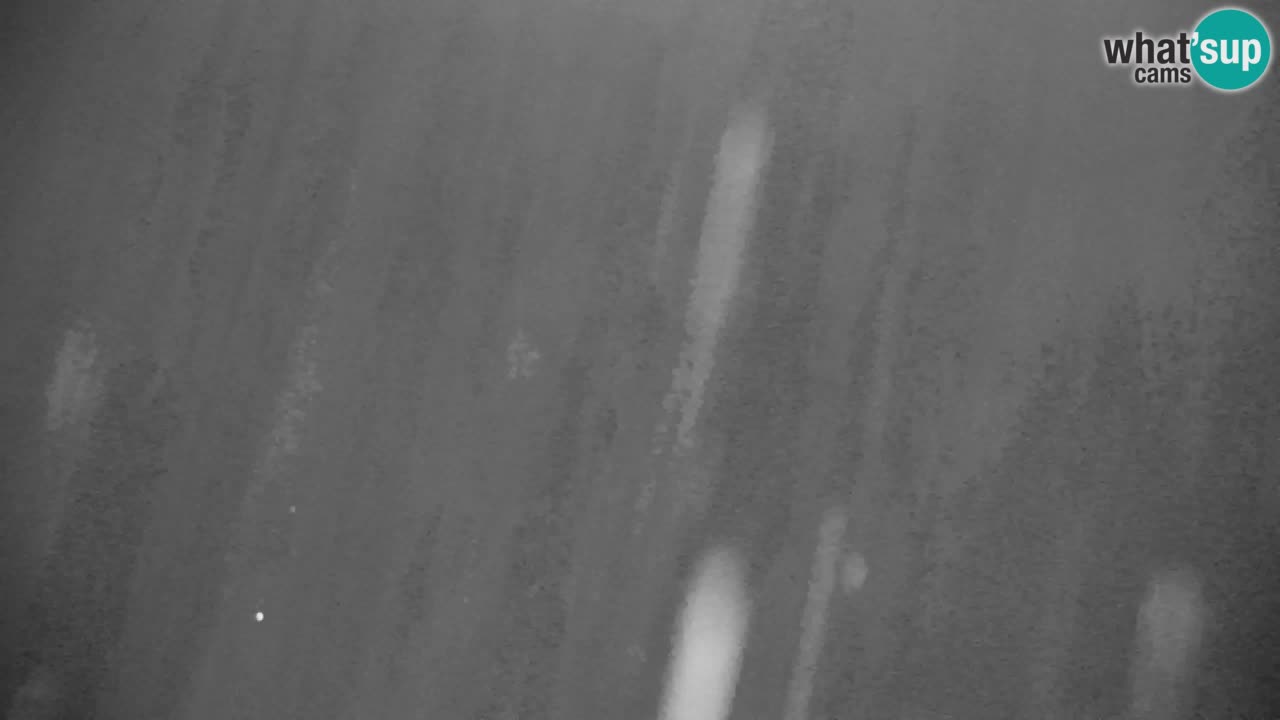 Ski Kranjska Gora | Velika Dolina