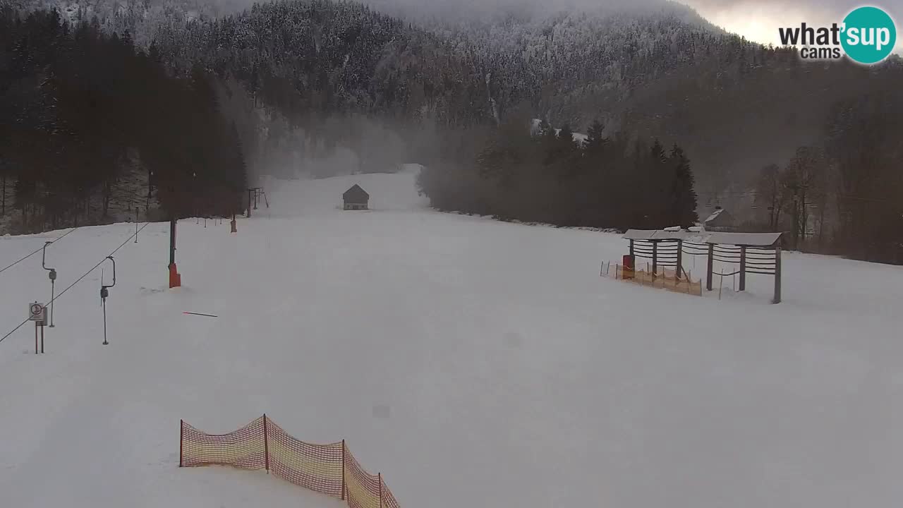 Skigebiet Kranjska Gora | Velika Dolina