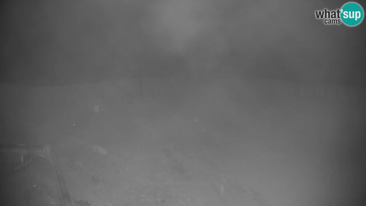 Ski Kranjska Gora | Velika Dolina