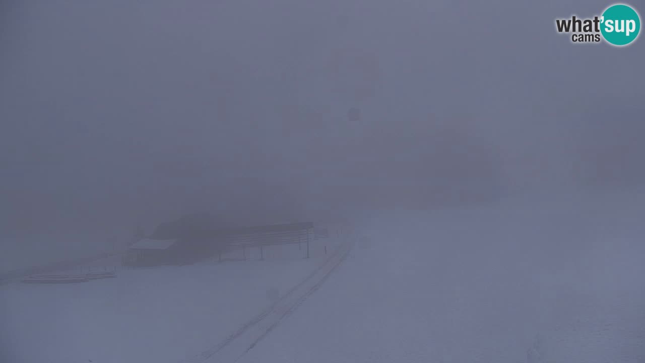 Ski Kranjska Gora | Velika Dolina