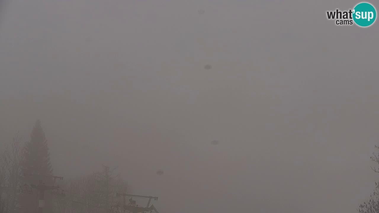 Ski Kranjska Gora | Velika Dolina