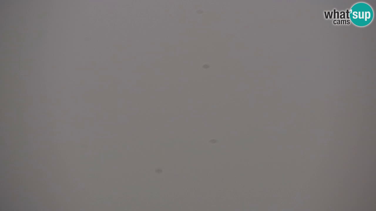 Ski Kranjska Gora | Velika Dolina