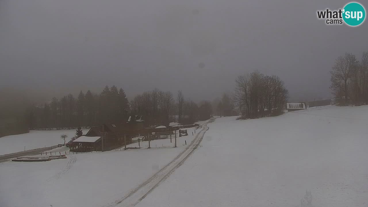 Estación de esquí Kranjska Gora | Velika Dolina