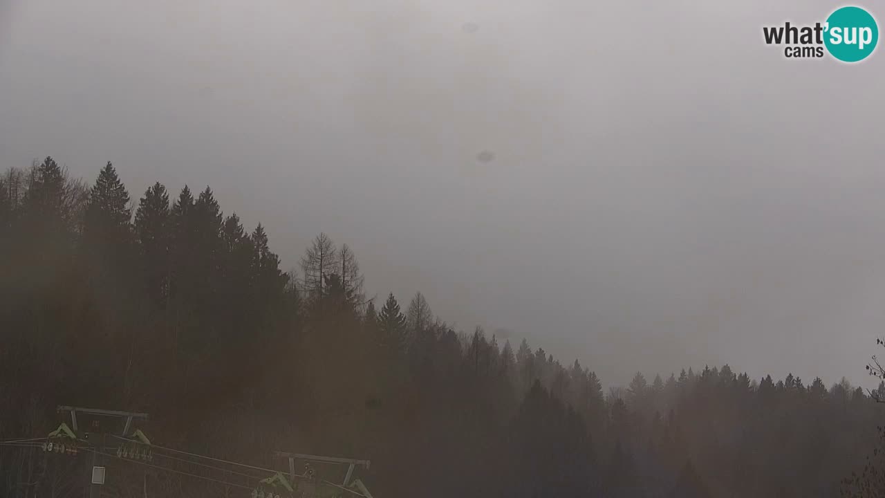 Ski Kranjska Gora | Velika Dolina