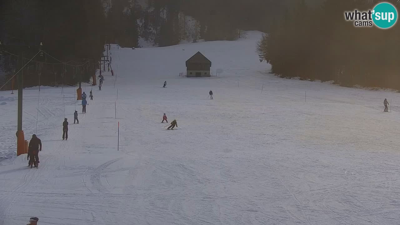 Estación de esquí Kranjska Gora | Velika Dolina