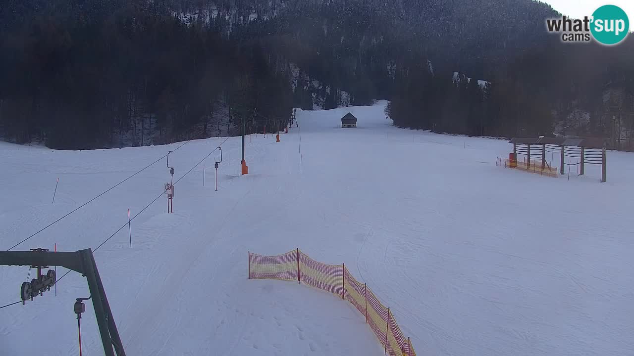 Ski Kranjska Gora | Velika Dolina