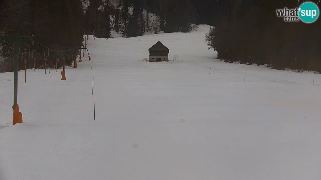 Skijanje Kranjska Gora | Velika Dolina