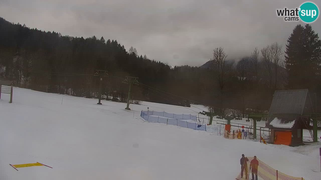 Estación de esquí Kranjska Gora | Velika Dolina