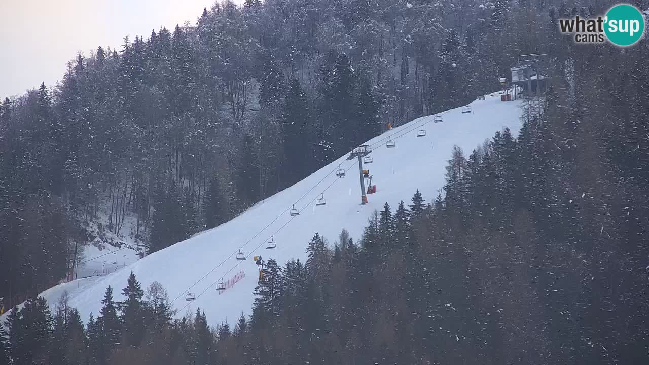 RTC Kranjska Gora | Velika Dolina