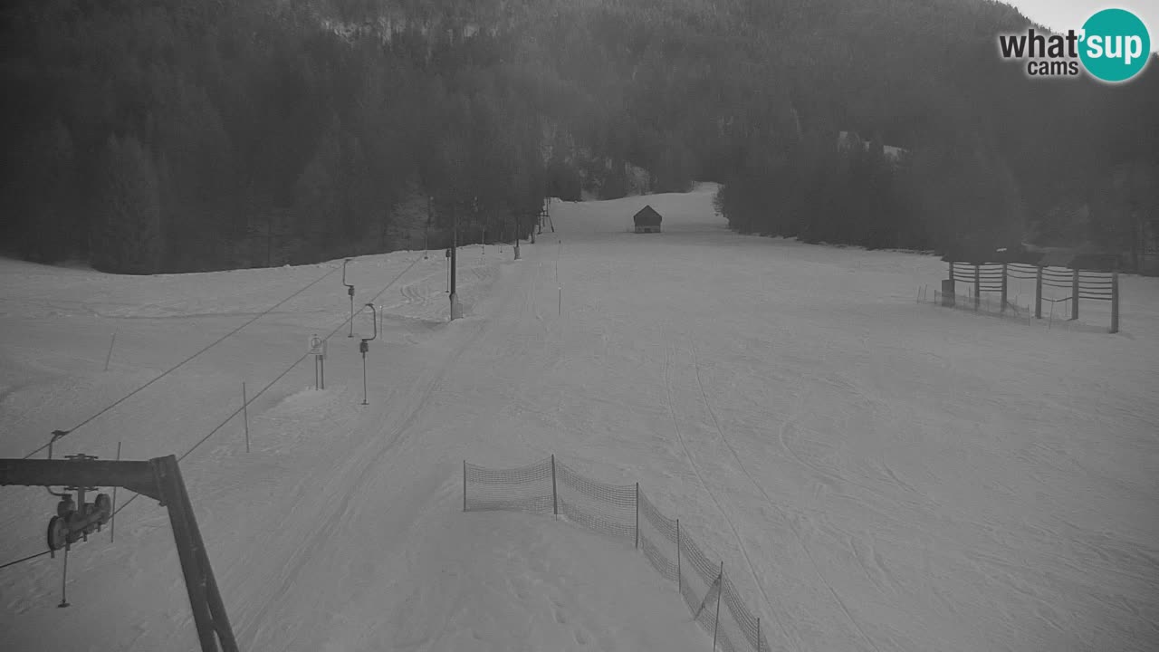 Ski Kranjska Gora | Velika Dolina