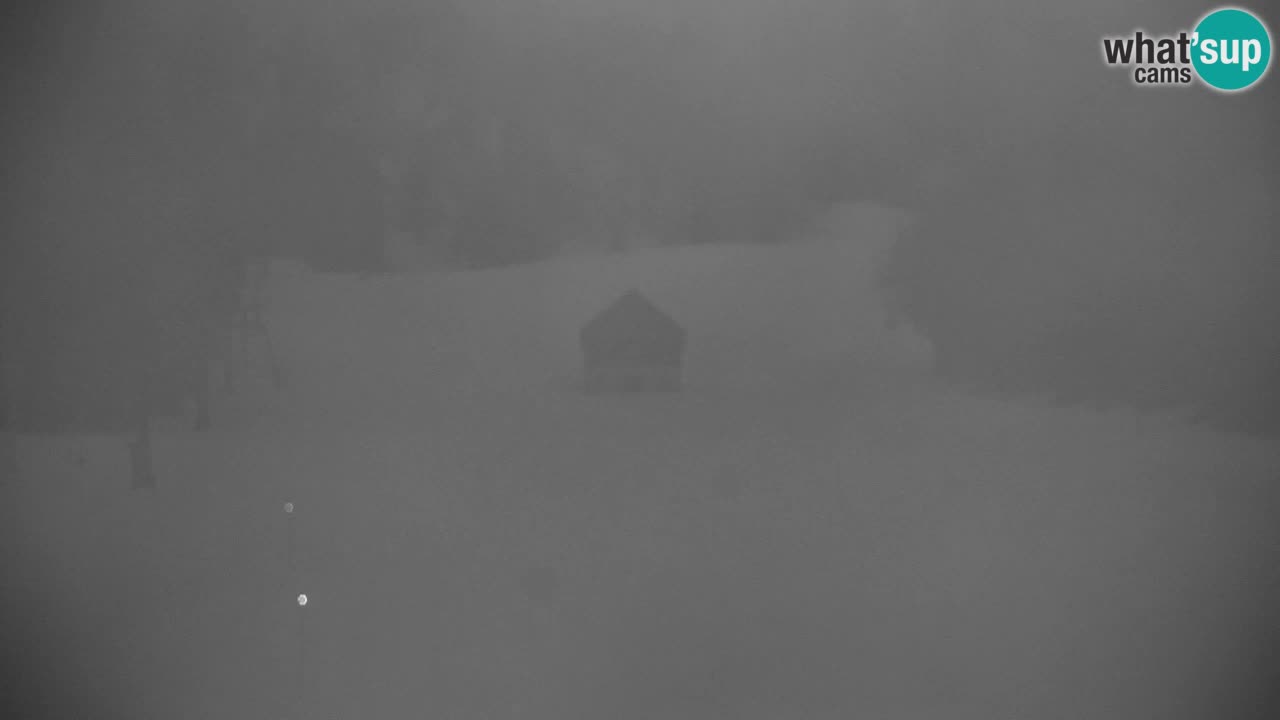 Ski Kranjska Gora | Velika Dolina