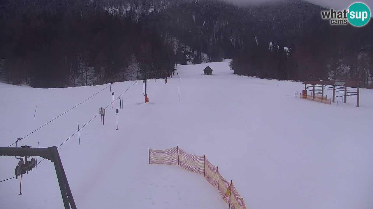Ski Kranjska Gora | Velika Dolina