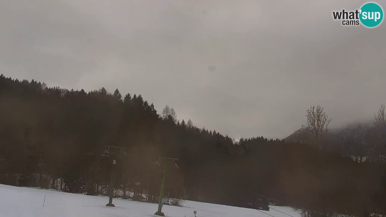 Ski Kranjska Gora | Velika Dolina