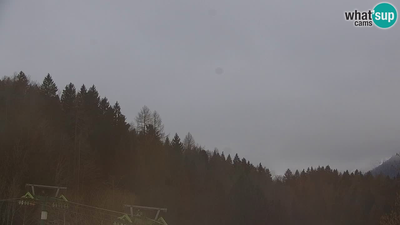 RTC Kranjska Gora | Velika Dolina