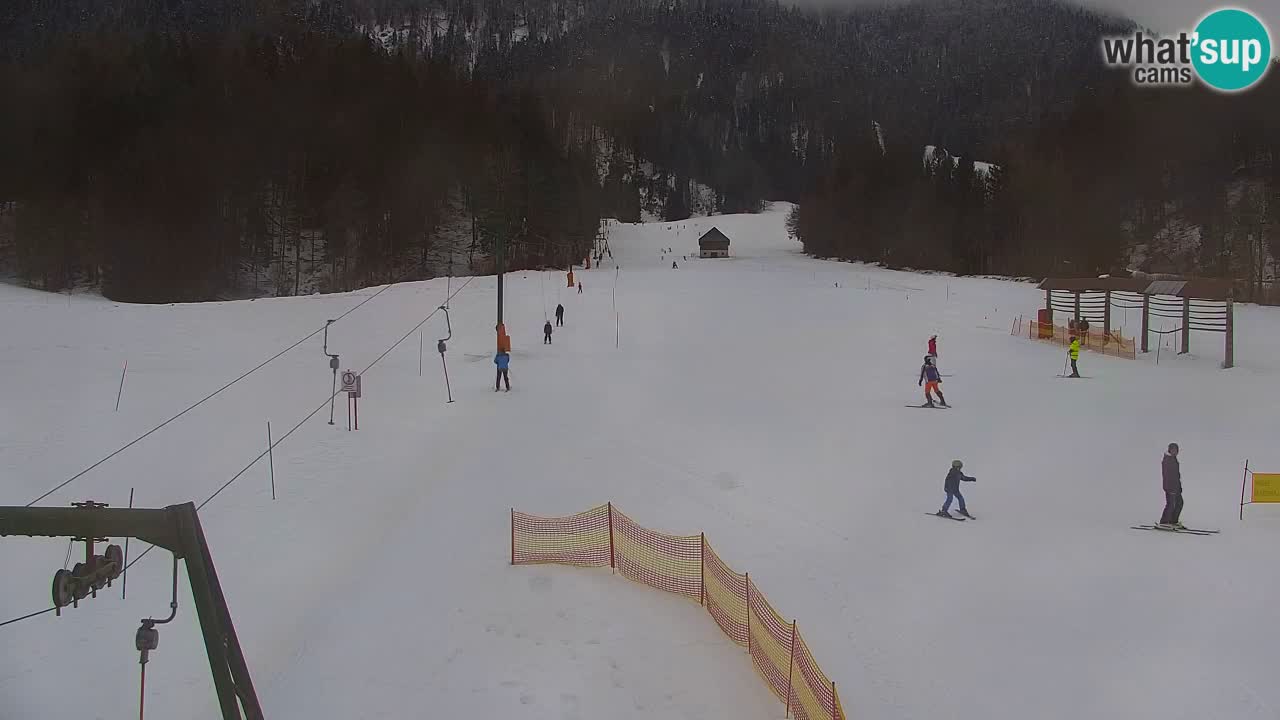 Skijanje Kranjska Gora | Velika Dolina