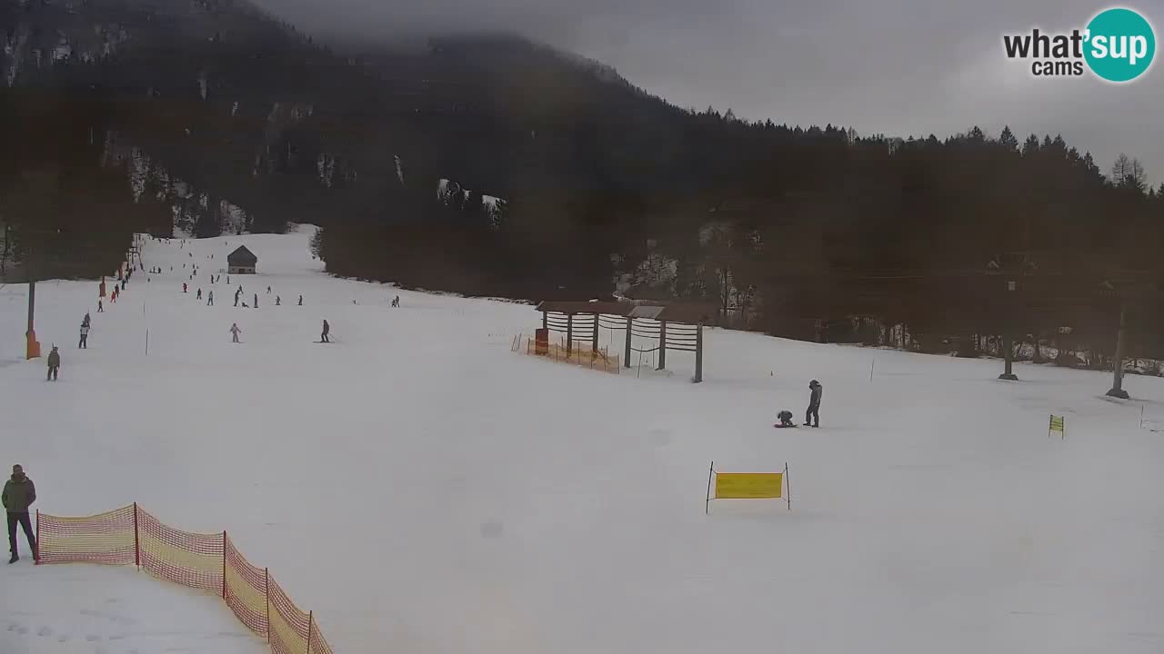 Ski Kranjska Gora | Velika Dolina