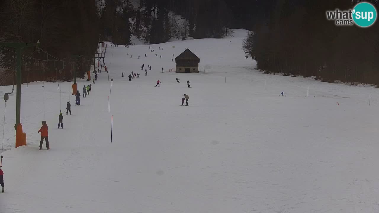 Station de ski Kranjska Gora | Velika Dolina