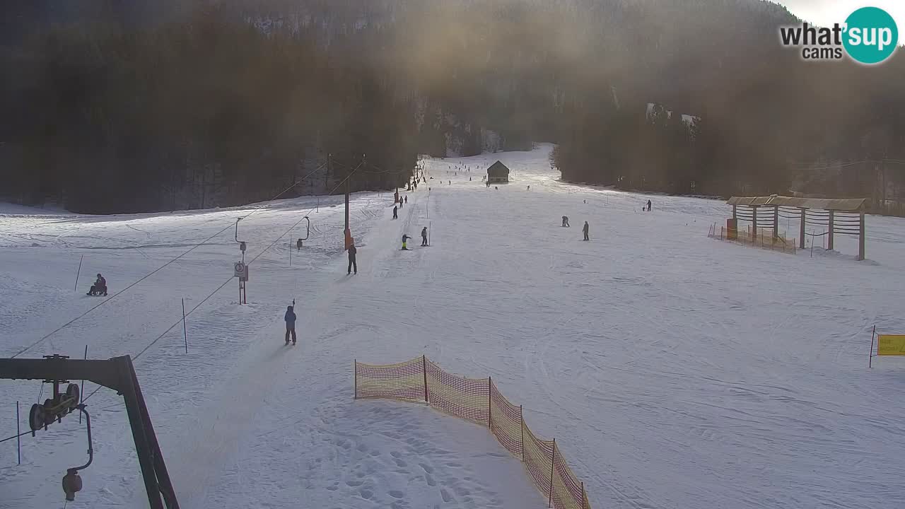 Ski Kranjska Gora | Velika Dolina