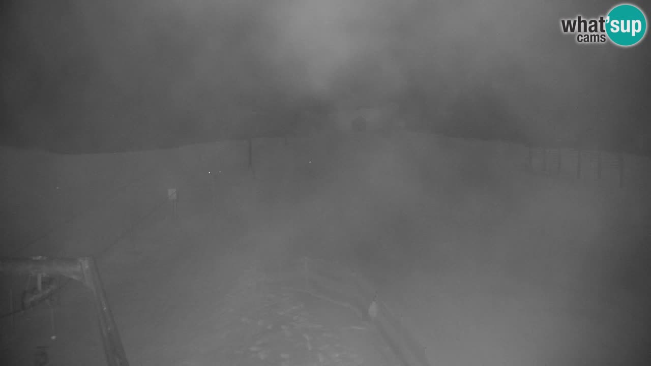 Ski Kranjska Gora | Velika Dolina