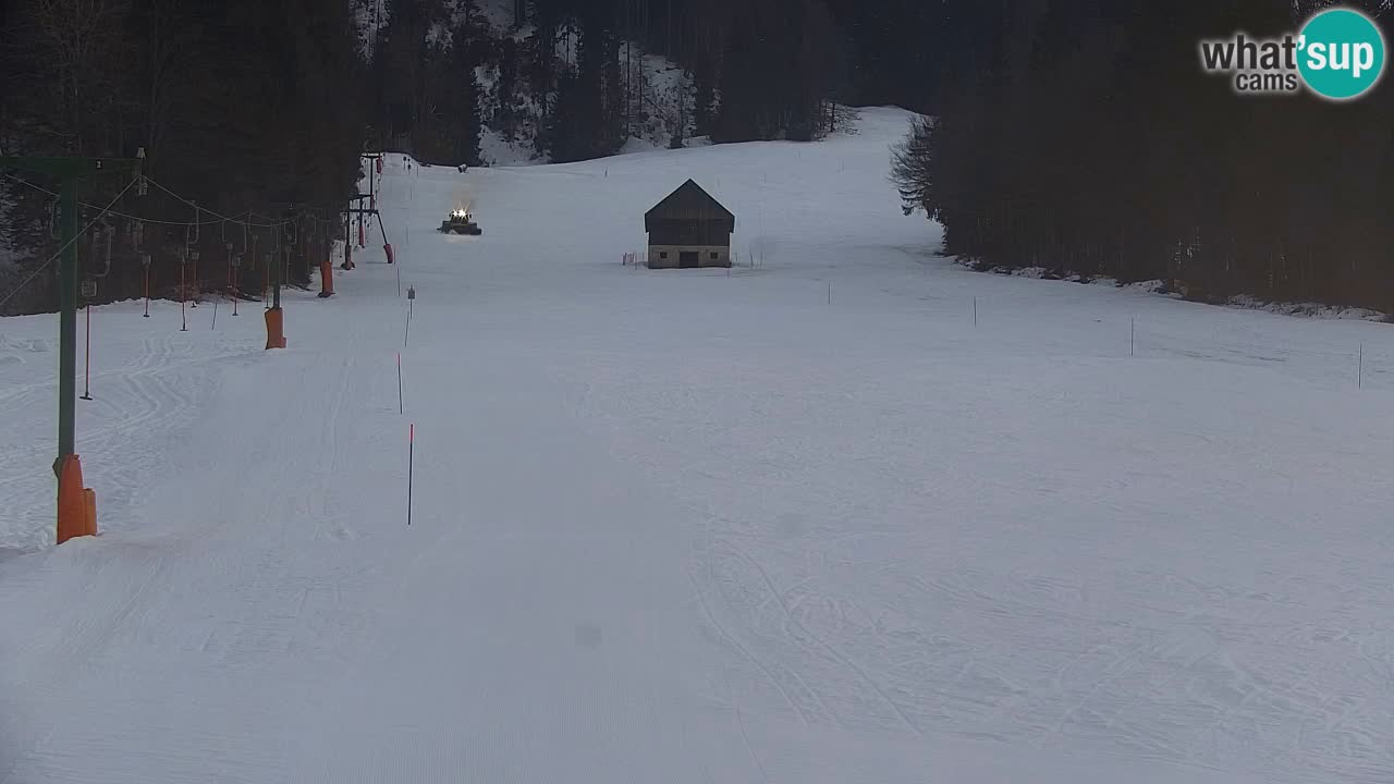 Skigebiet Kranjska Gora | Velika Dolina