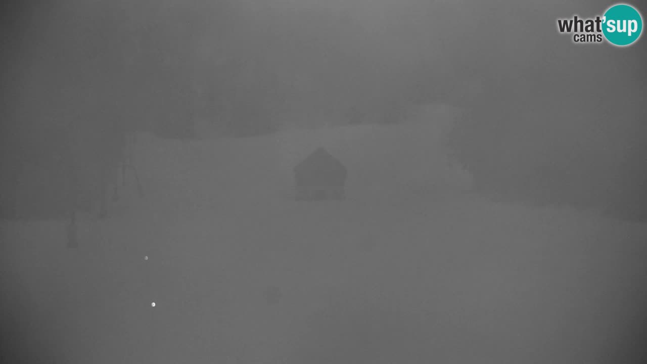 Skigebiet Kranjska Gora | Velika Dolina