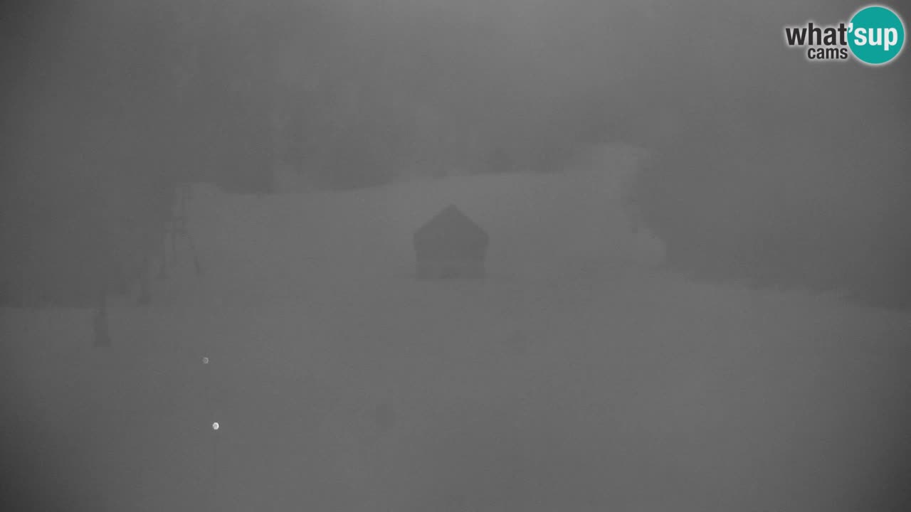 Skigebiet Kranjska Gora | Velika Dolina