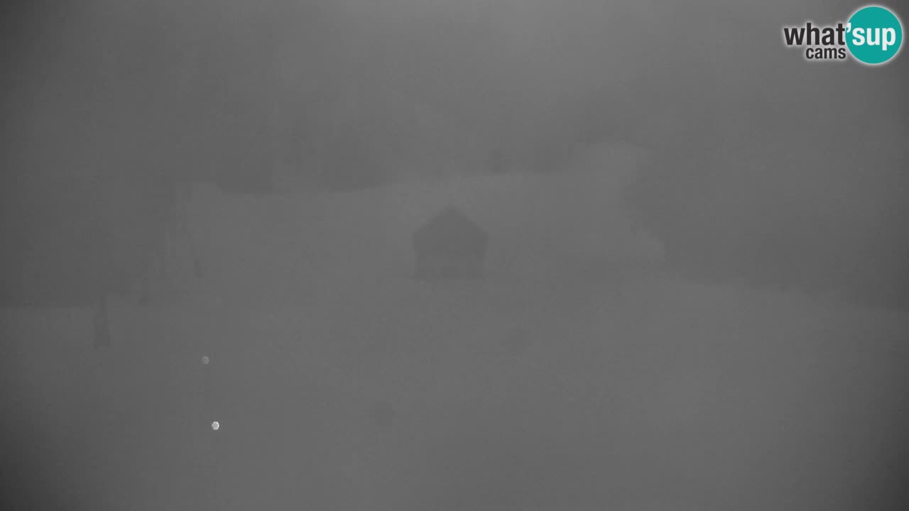 Skigebiet Kranjska Gora | Velika Dolina