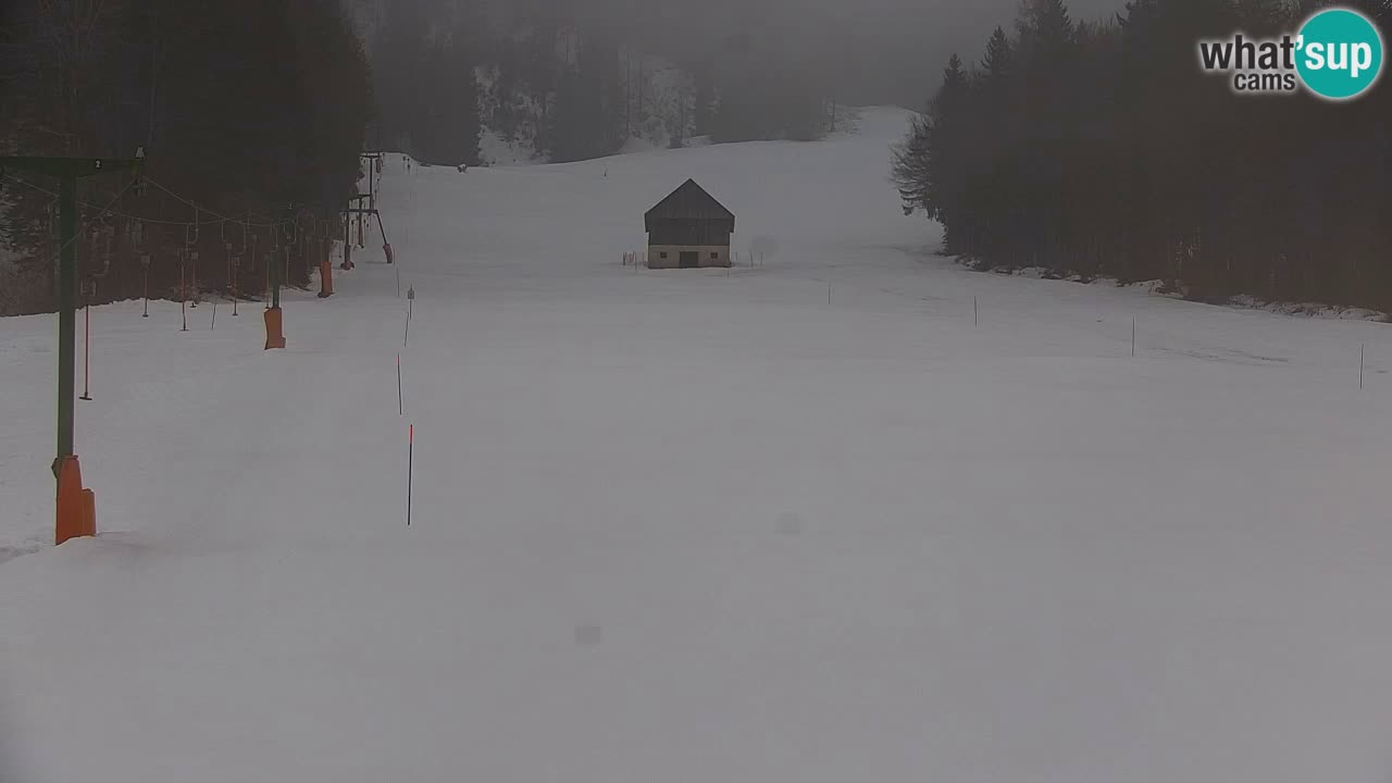 Estación de esquí Kranjska Gora | Velika Dolina