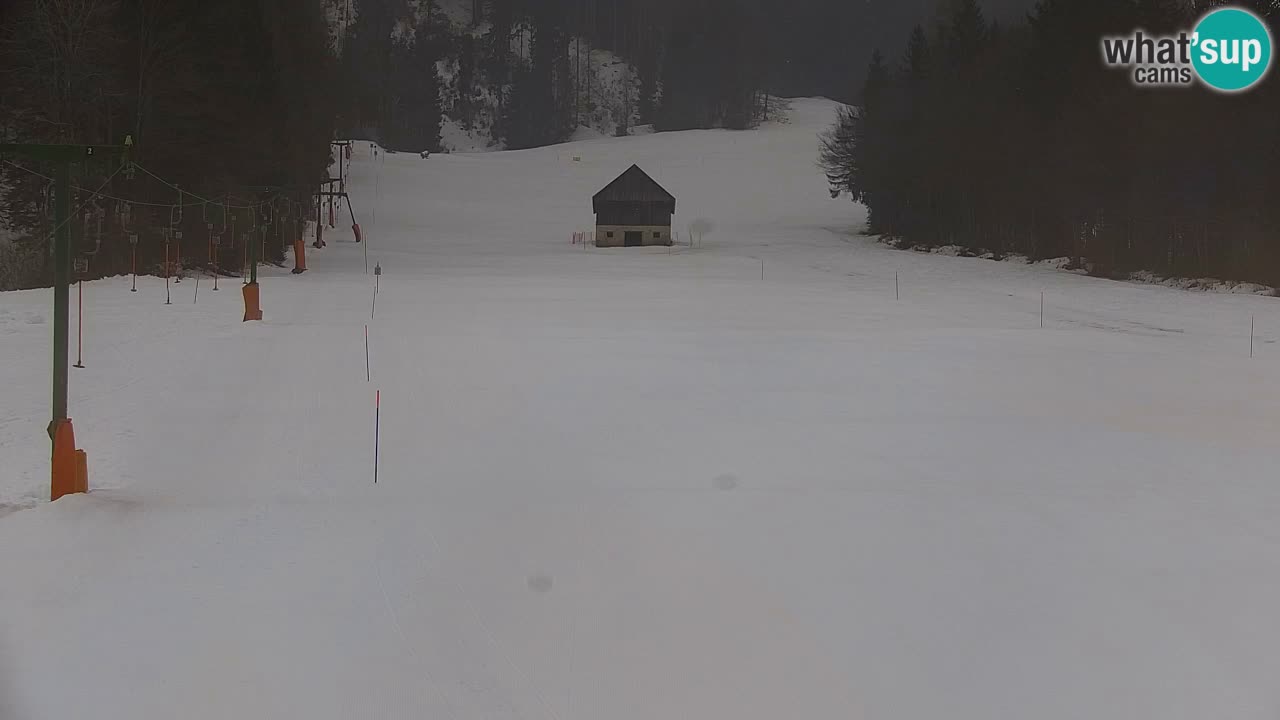 Ski Kranjska Gora | Velika Dolina