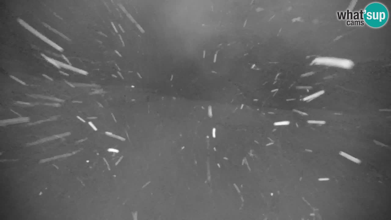 Ski Kranjska Gora | Velika Dolina