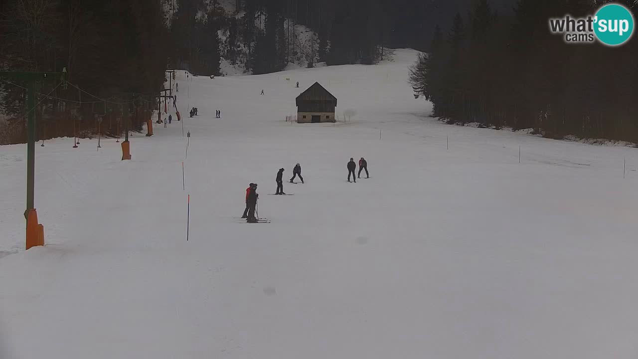 Station de ski Kranjska Gora | Velika Dolina