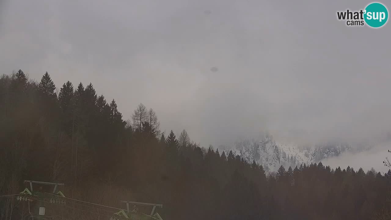 Ski Kranjska Gora | Velika Dolina